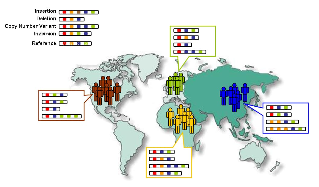 The Human Genome Project